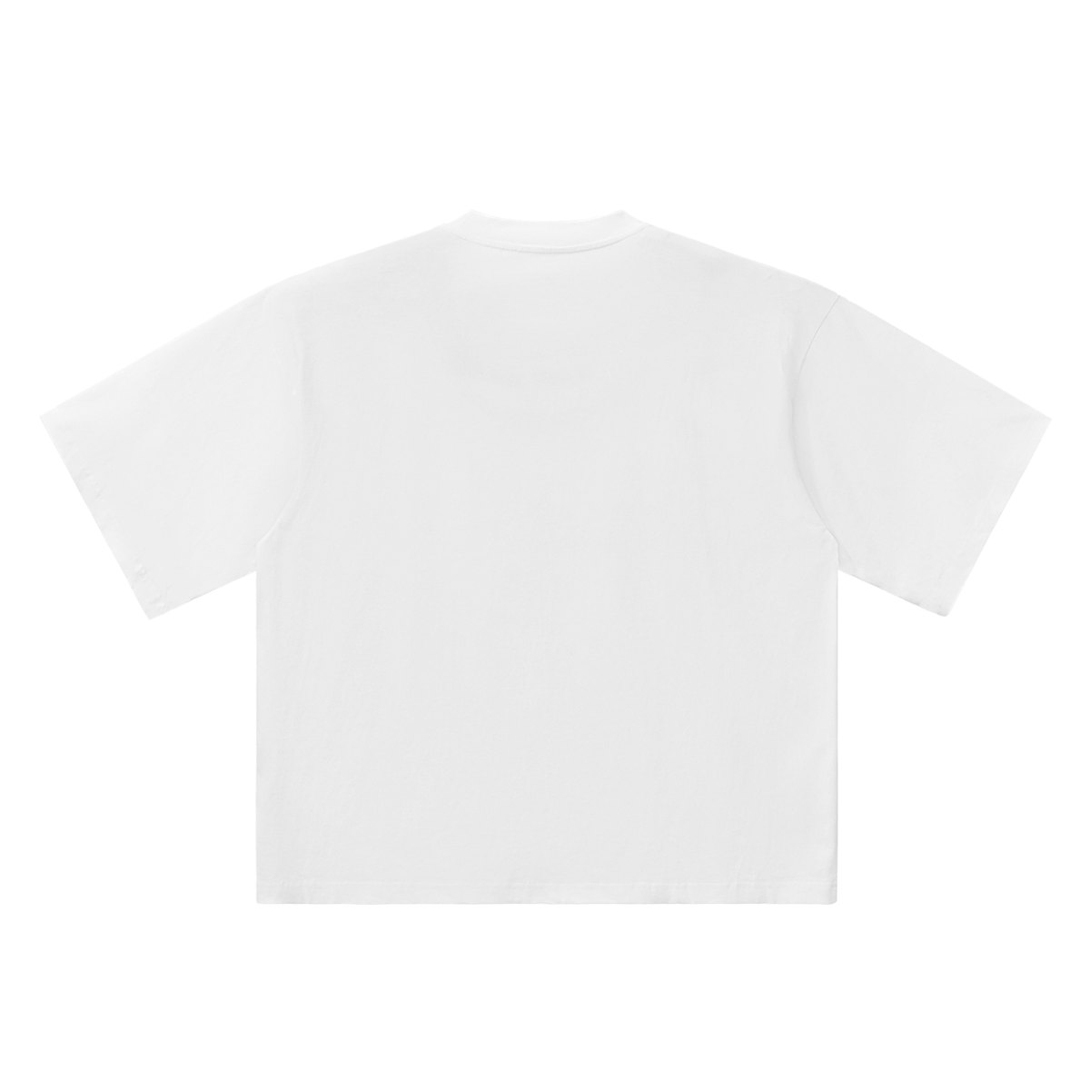 SouthEast Vintage Sports T-Shirt